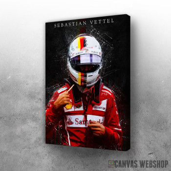Slika Sebastian Vettel driver