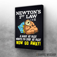 Slika Njutnov zakon po lenjivcu