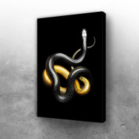snake black and yellow