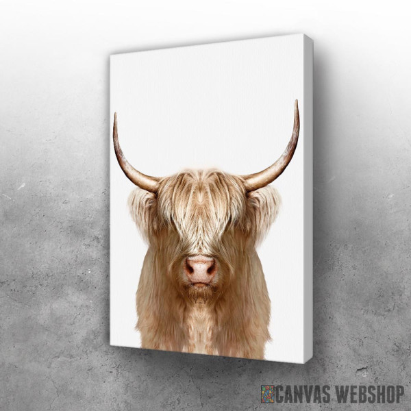 Slika white wild Buffalo