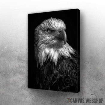 Slika wild eagle head