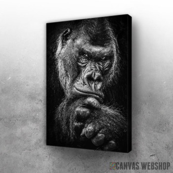 Slika wild gorilla Slika wild gorilla