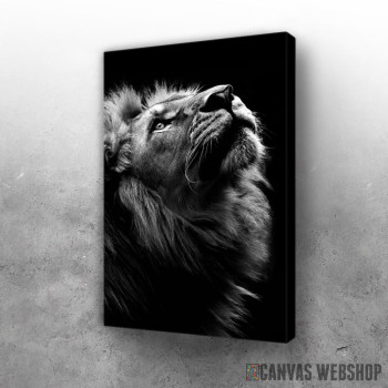 Slika wild lion face 2 Slika wild lion face 2