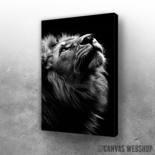 Slika wild lion face 2