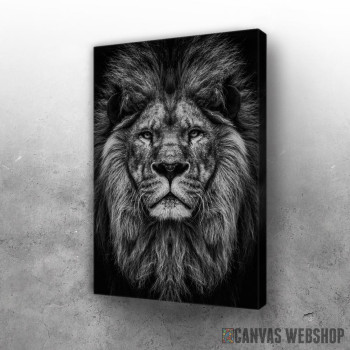 Slika wild lion head Slika wild lion head