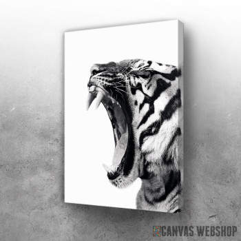 Slika wild roar tiger Slika wild roar tiger