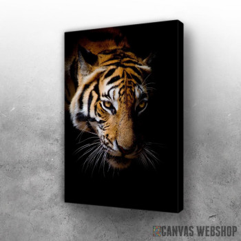 Slika wild tiger face