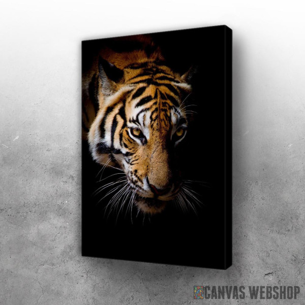 Slika wild tiger face Slika wild tiger face