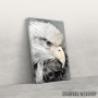 Slika Bald Eagle