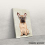 Slika Mr French Bulldog