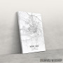 Slika Novi Sad mapa - white