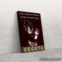 Slika Vegeta Dragon Ball Z Slika Vegeta Dragon Ball Z