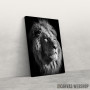 Slika black lion king