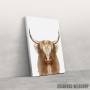 Slika white wild Buffalo