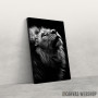 Slika wild lion face 2