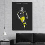 Slika Adnan Januzaj