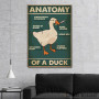 Slika Anatomy of a GOOSE Slika Anatomy of a GOOSE