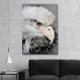 Slika Bald Eagle