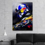 Slika David Coulthard F1 Slika David Coulthard F1