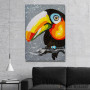 Slika Toucan 2