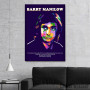 Slika Barry Manilow stih Slika Barry Manilow stih