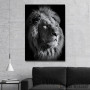 Slika black lion king