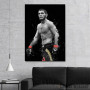 Slika Khabib Nurmagomedov MMA Slika Khabib Nurmagomedov MMA