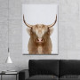 Slika white wild Buffalo