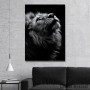 Slika wild lion face 2