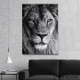 Slika wild lion face Slika wild lion face