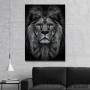 Slika wild lion head Slika wild lion head