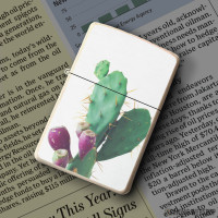 Upaljač Plodovi kaktusa