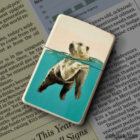 Upaljač where the ice